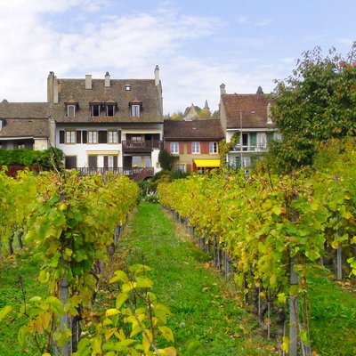 Domaine Henrioud