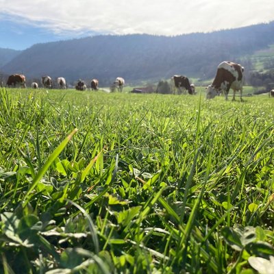 Communauté Cachelin – Hadorn