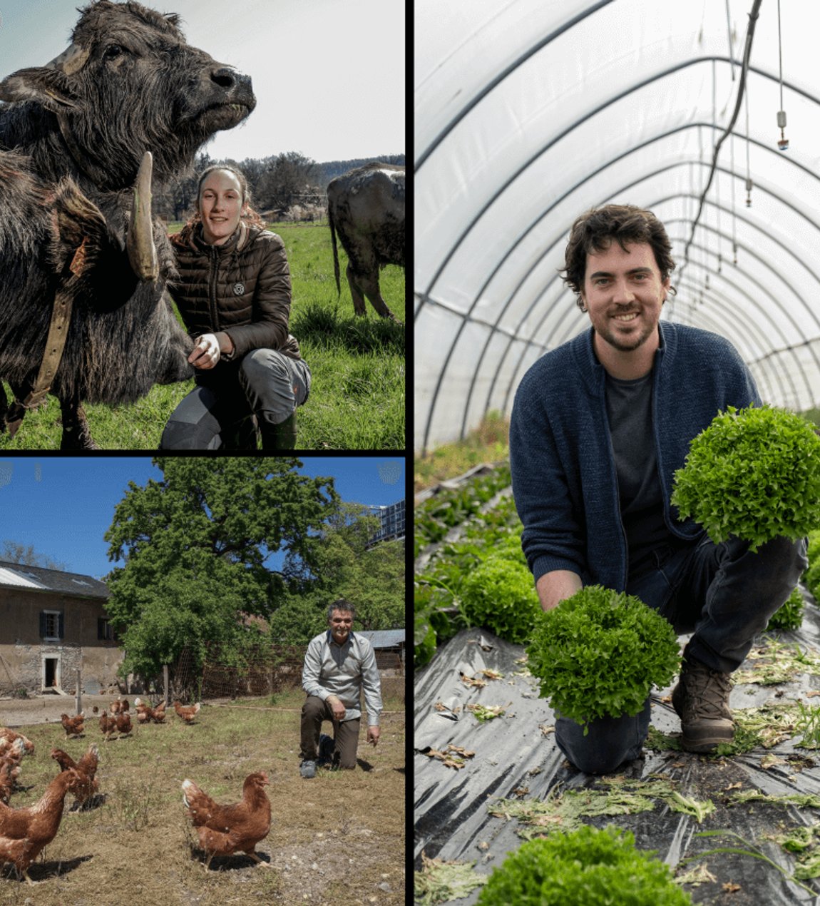 La Tanière de Genève