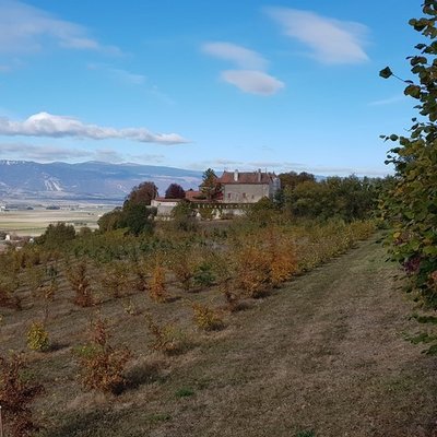La Ferme de Champ-Villars