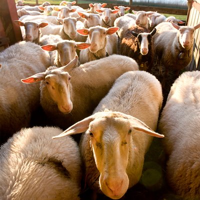 Ferme de Praz-Romond