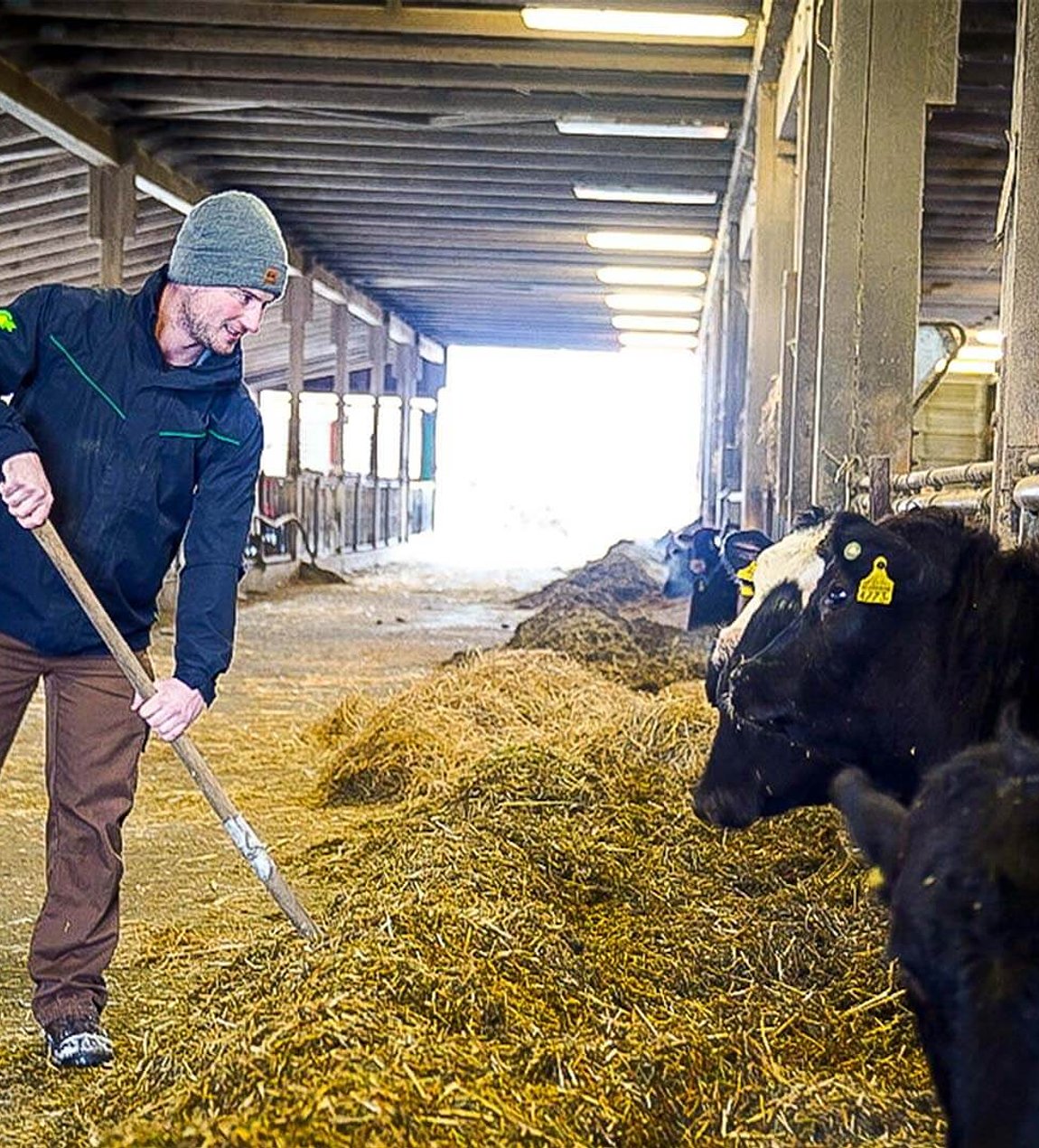 Le partage de bête de La Tanière de la Riviera-Chablais